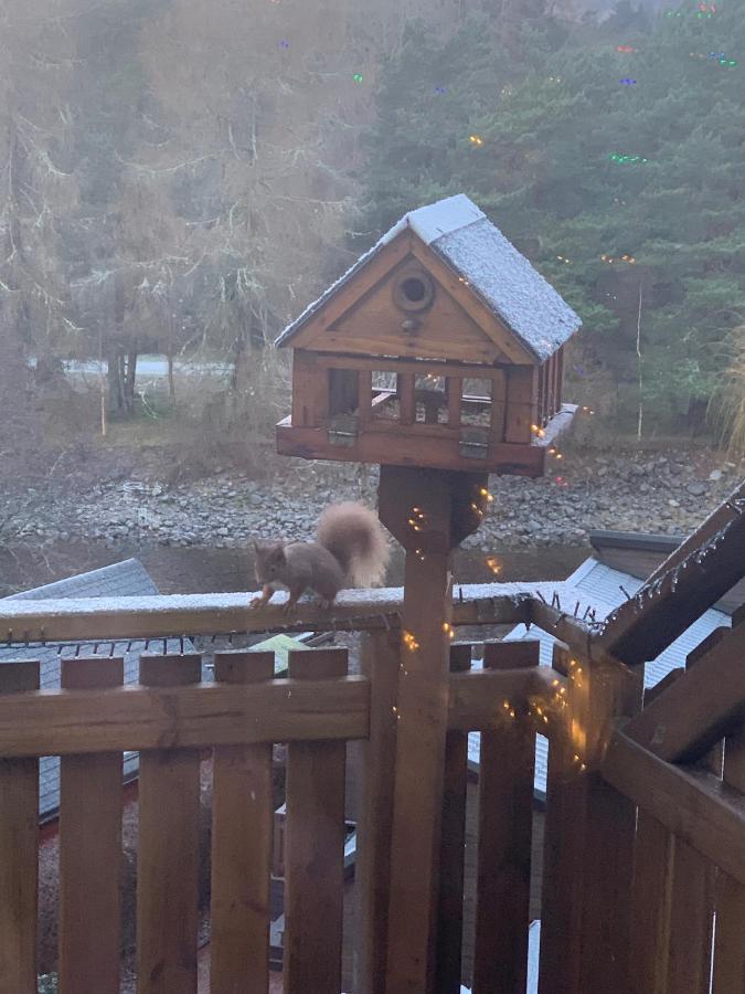Beautiful 2 Bedroom Lodge With Stunning Views Blair Atholl Esterno foto